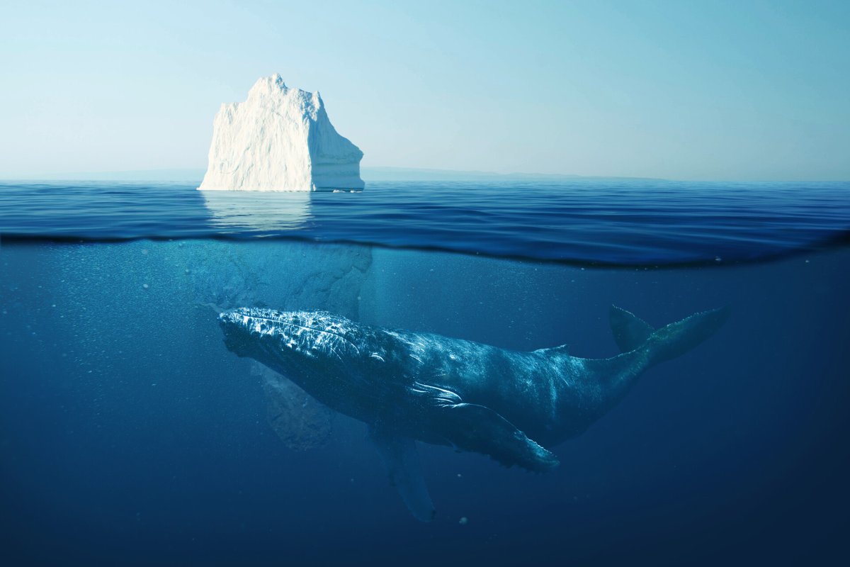 Синий кит на красивом фоне айсберга