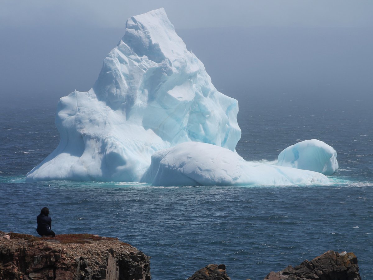 Вармила Айсберг