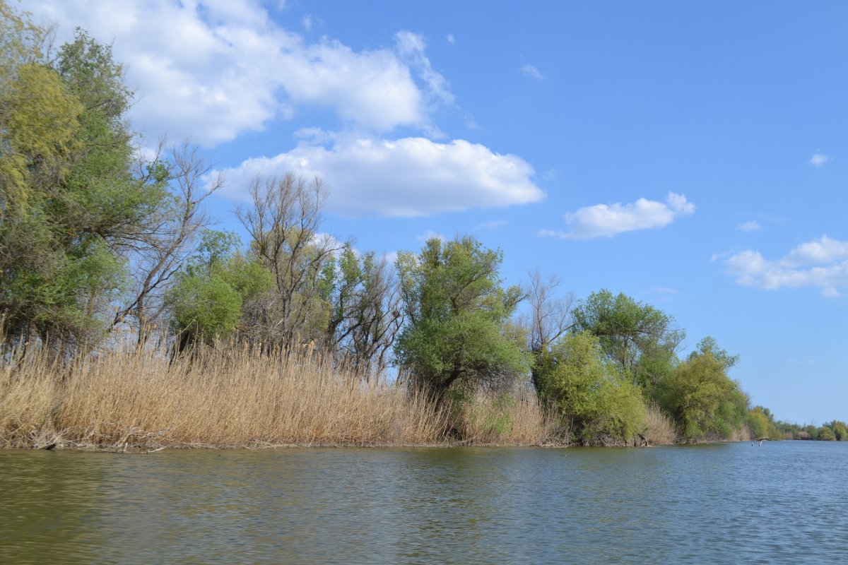 Природа Подмосковья