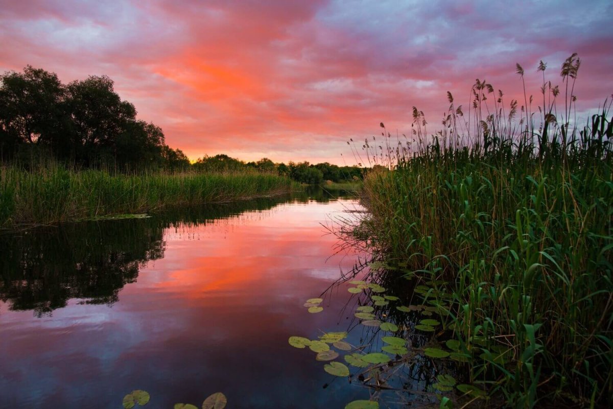 Астраханский биосферный резерват