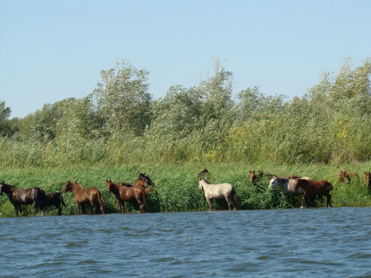 Смотровая площадка Суладский каньон