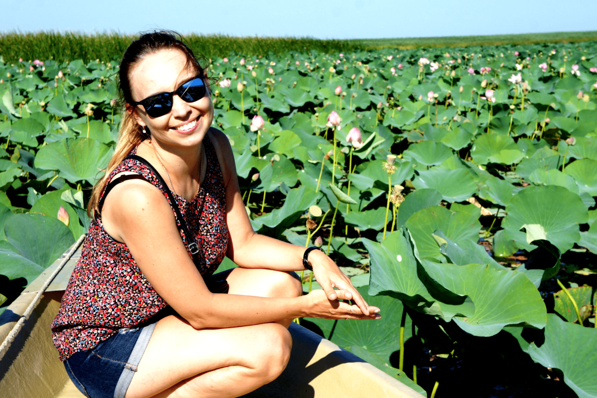 Лотос орехоносный Каспийский