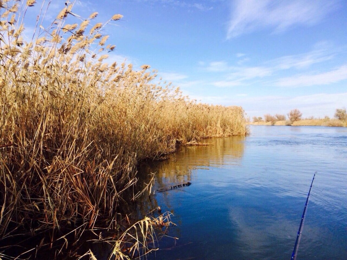 Астрахань природа