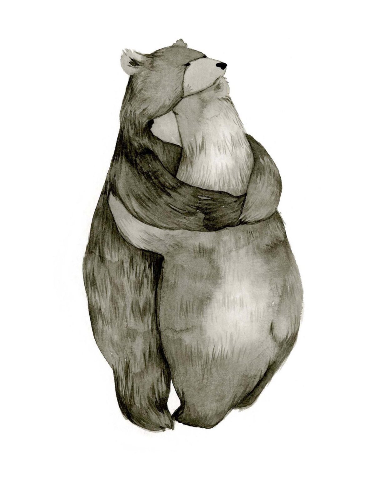 Медведь рисунок