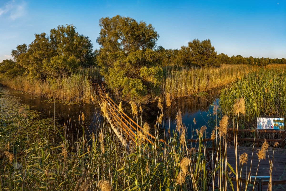 Астраханский заповедник история