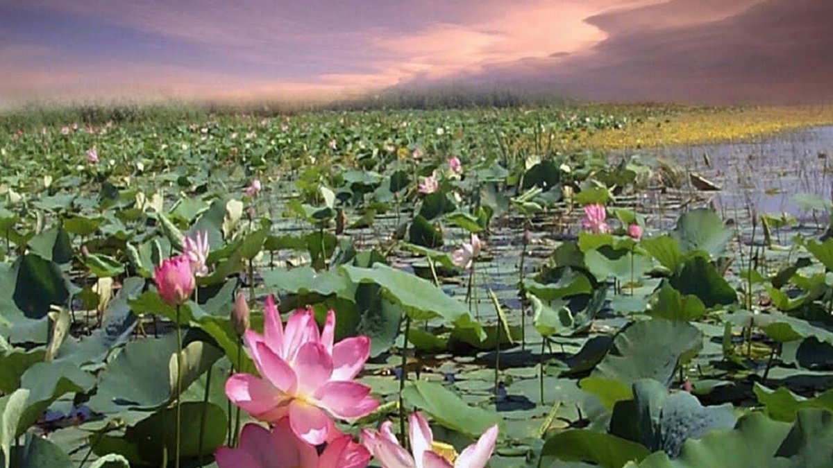 Баскунчак гора Богдо