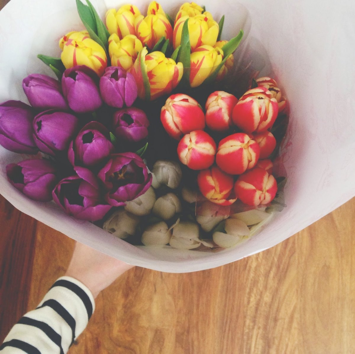 Тюльпаны для инстаграмма