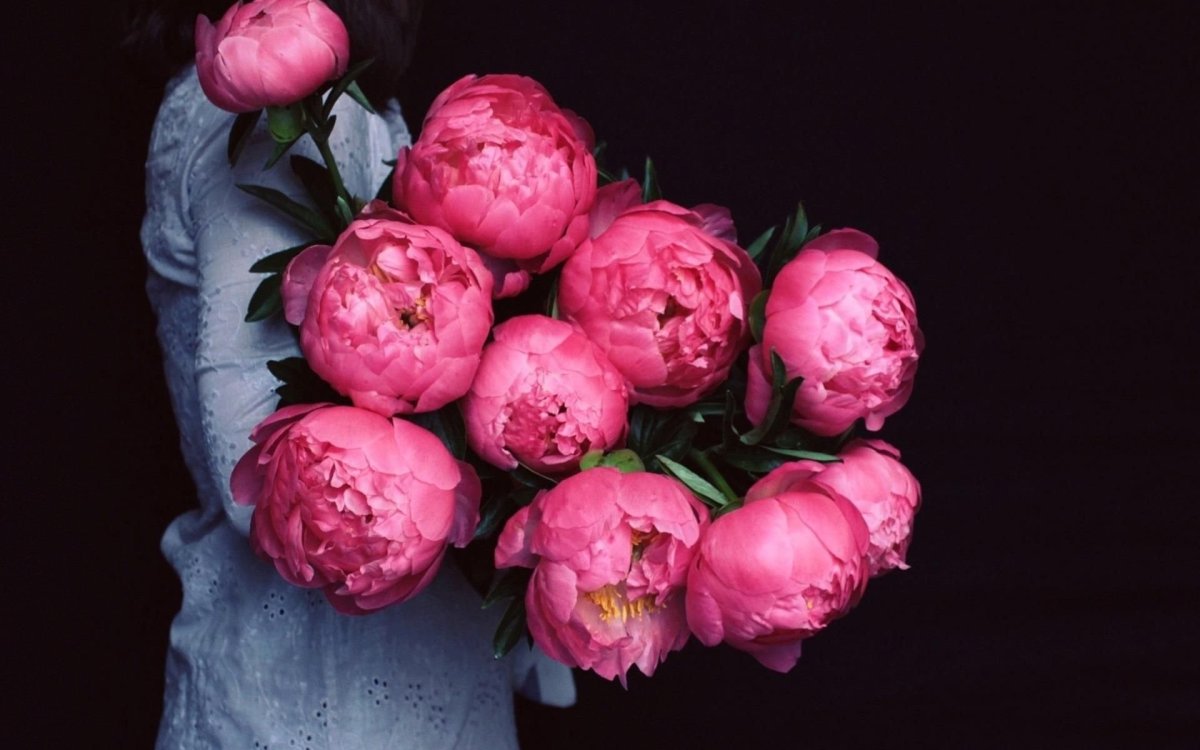 Эми Джадд пионы