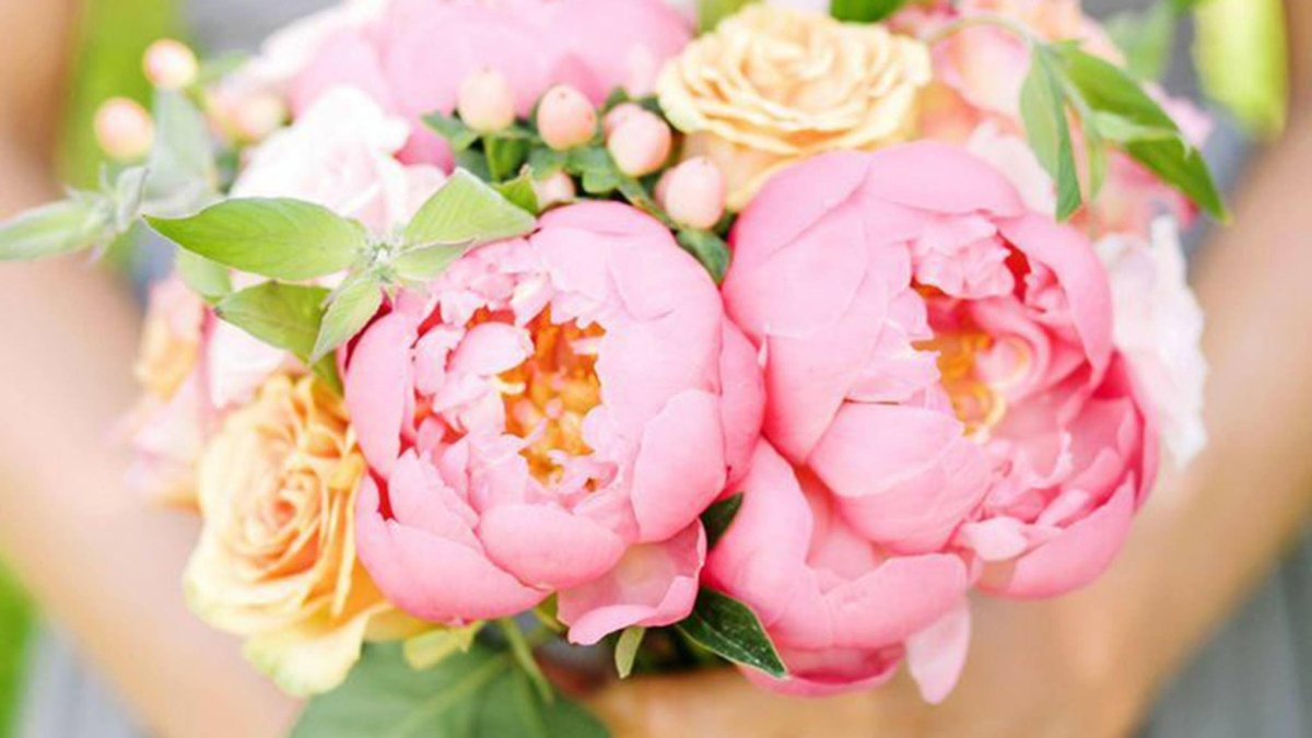 Персиковые розовидные пионы