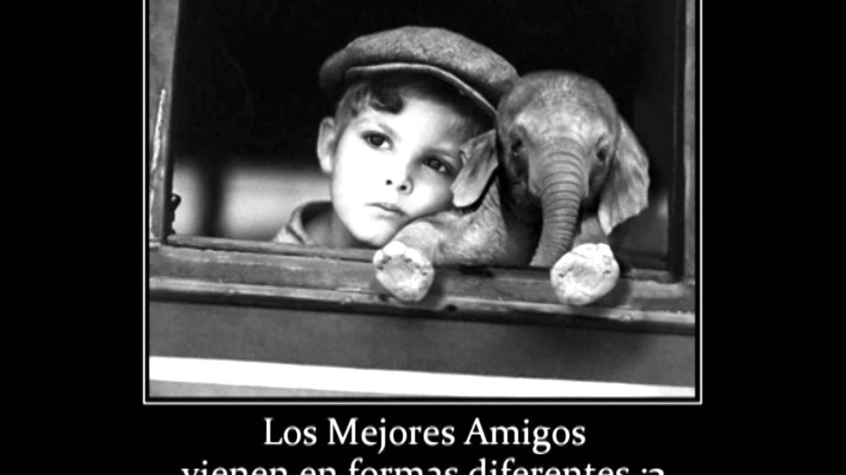 Демотиваторы про молодость