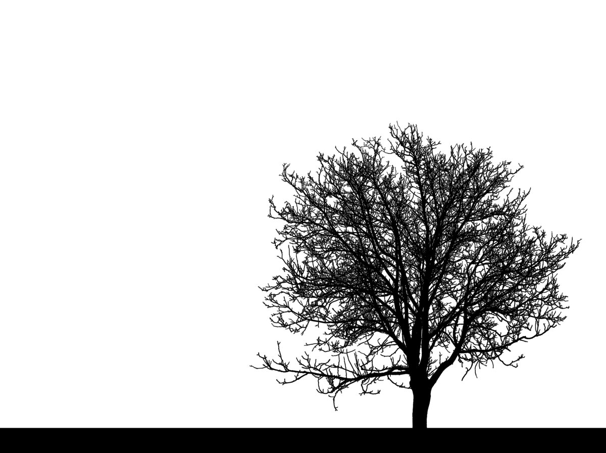 Ноябрь черно белые картинки