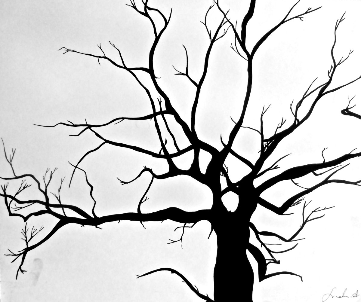 Autumn Trees opacity Map