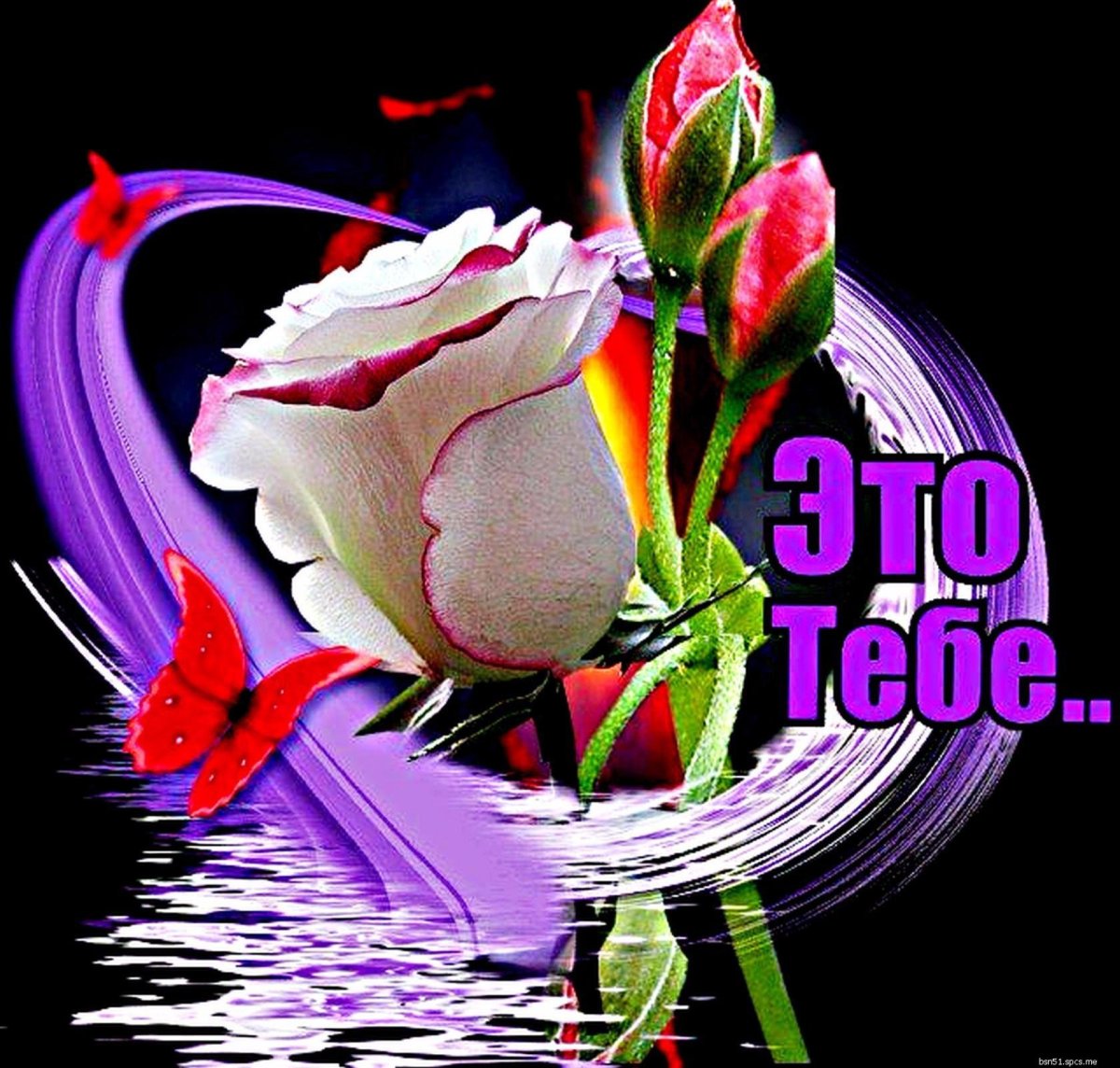 Пожелания спокойной ночи женщине