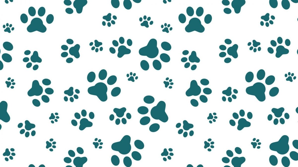 Фон следы животных