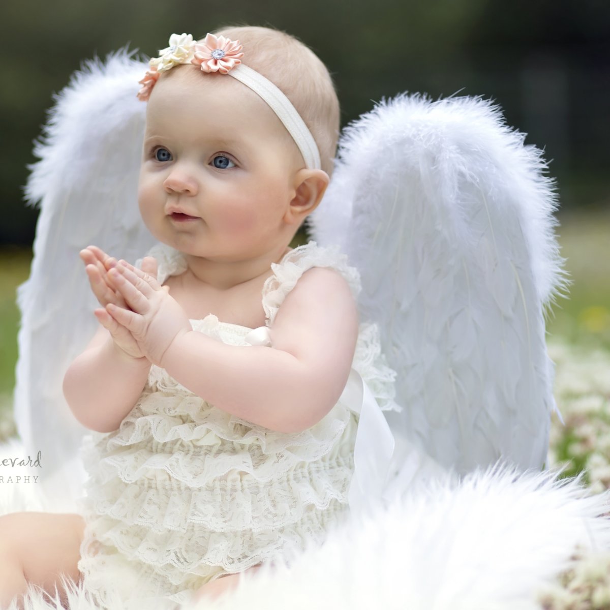 Красивые детки