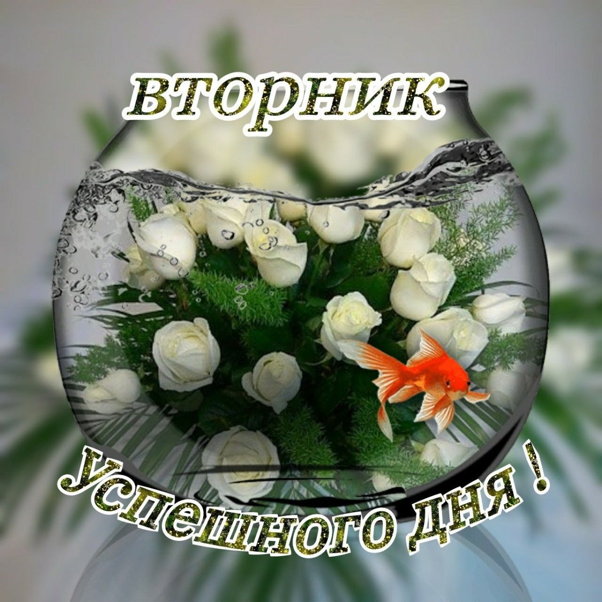 Пожелания доброго дня