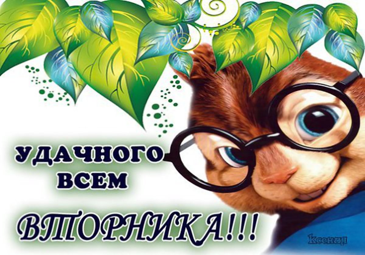 Удачного вторника прикольные
