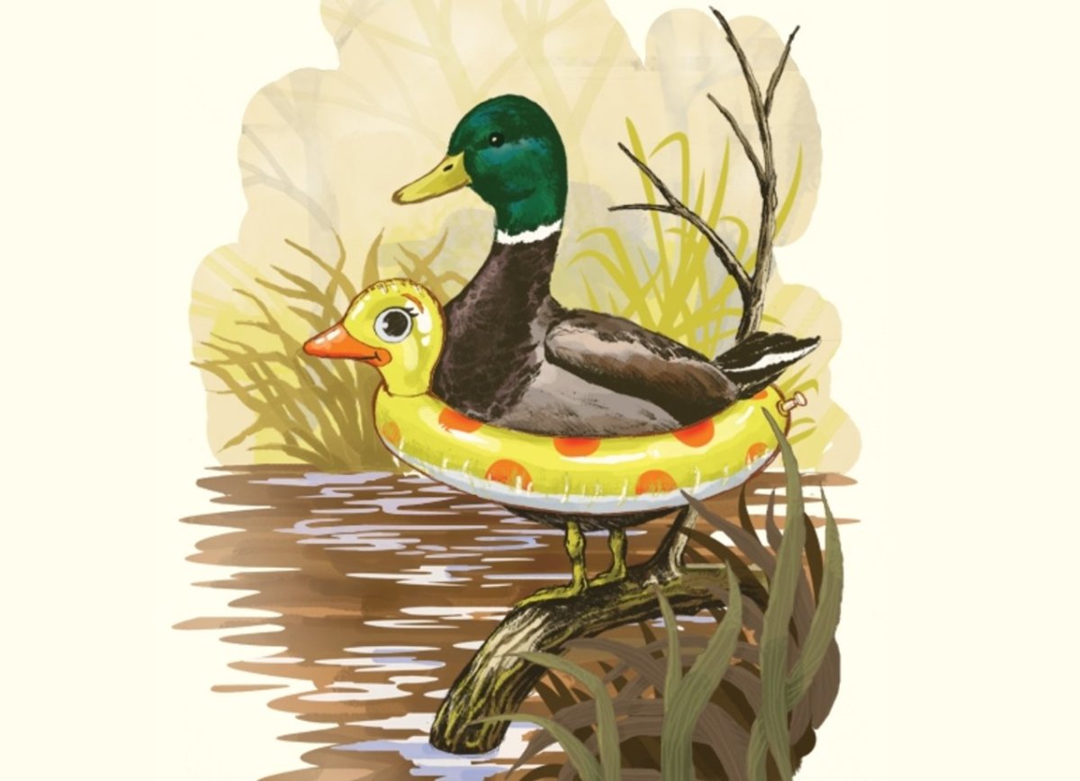 Гуси и мальчик