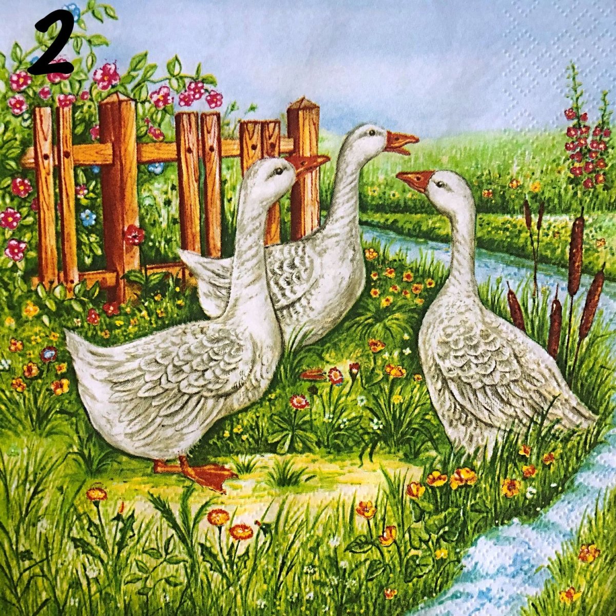 Раскраска много гусей