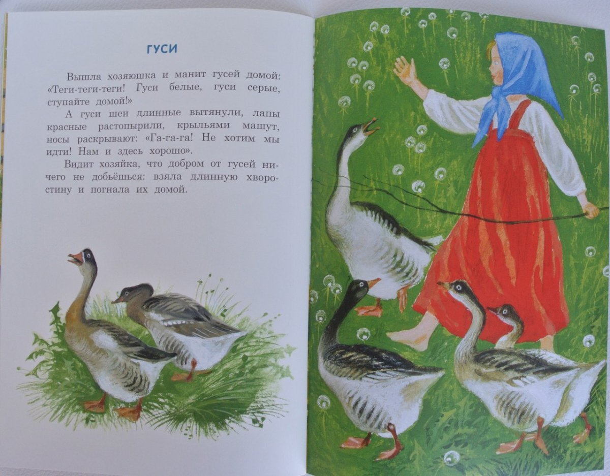 Ушинский гуси