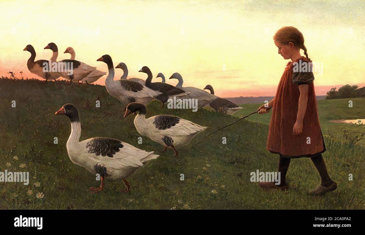 Раскраска пруд с утками