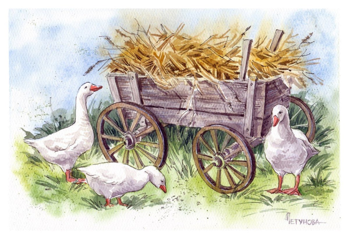 Девушка с гусем нарисованная