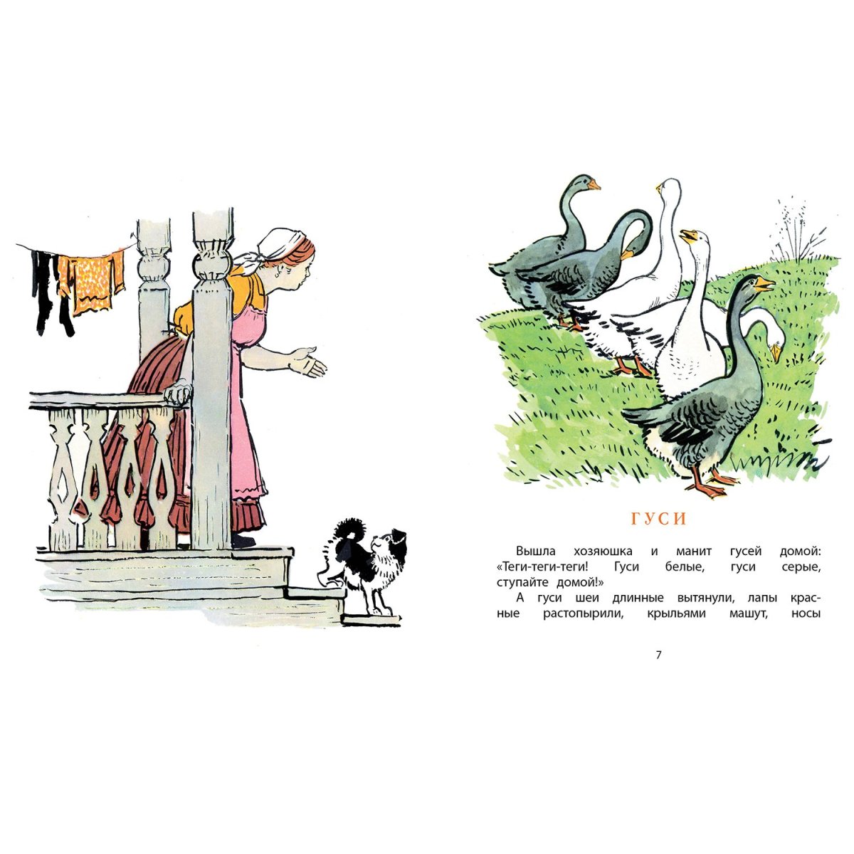 Ушинский гуси