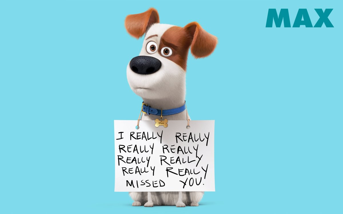 Тайная жизнь домашних животных обои