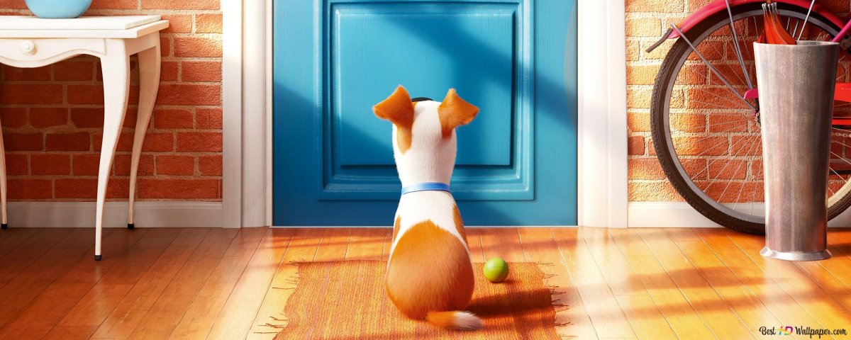 Максим из Тайная жизнь домашних животных