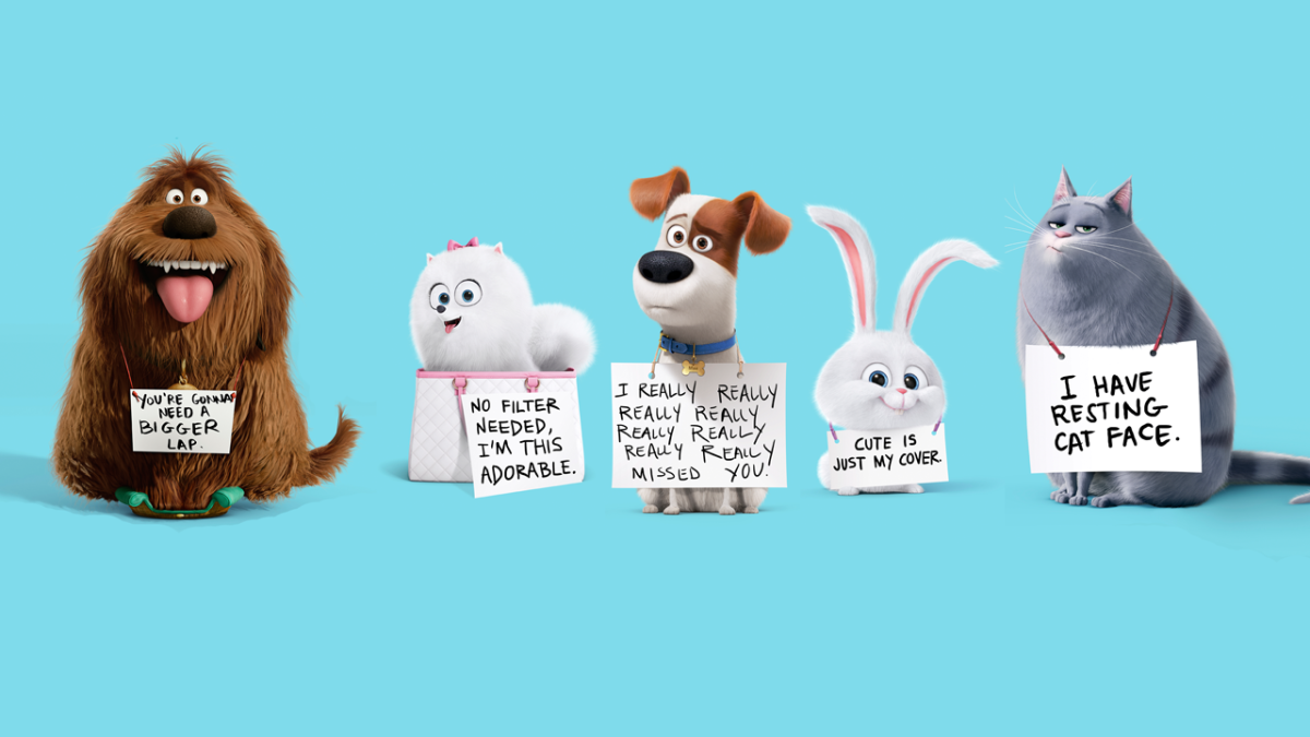 Имена из тайной жизни домашних животных