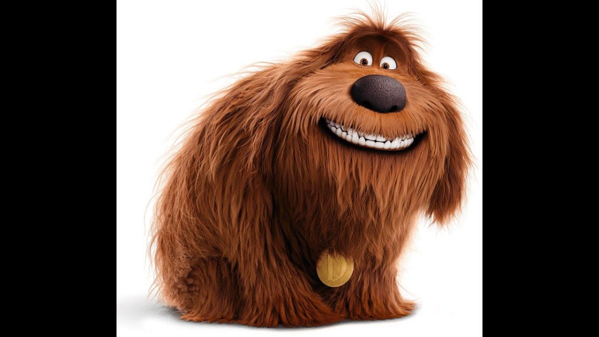 Дюк из тайной жизни домашних животных