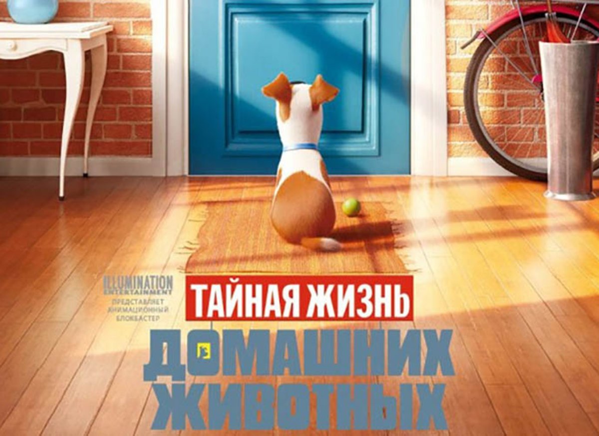 Тайная жизнь домашних животных Постер