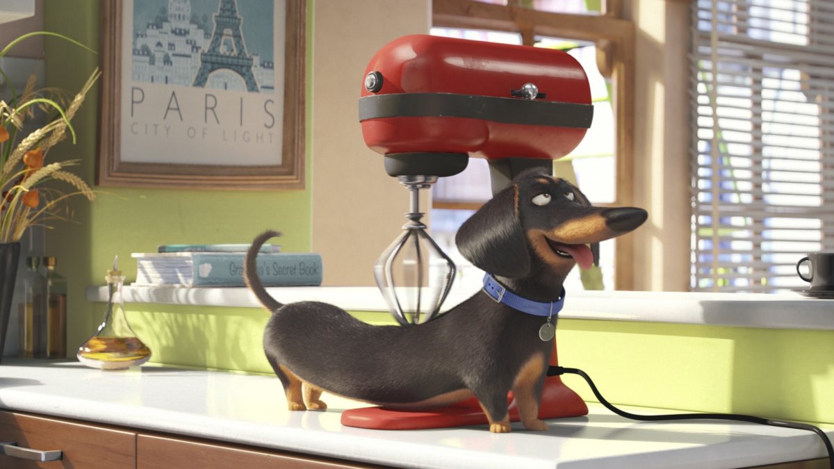 Тайная жизнь домашних животных Постер