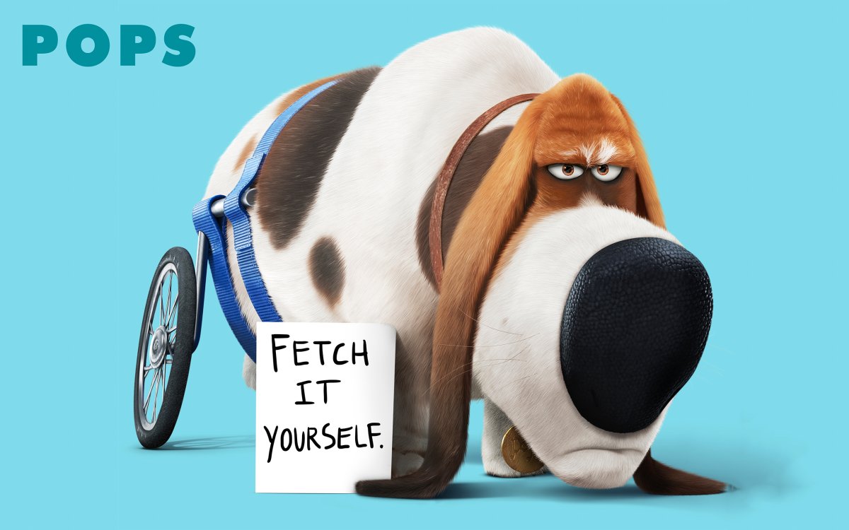 Тайная жизнь домашних животных Бассет