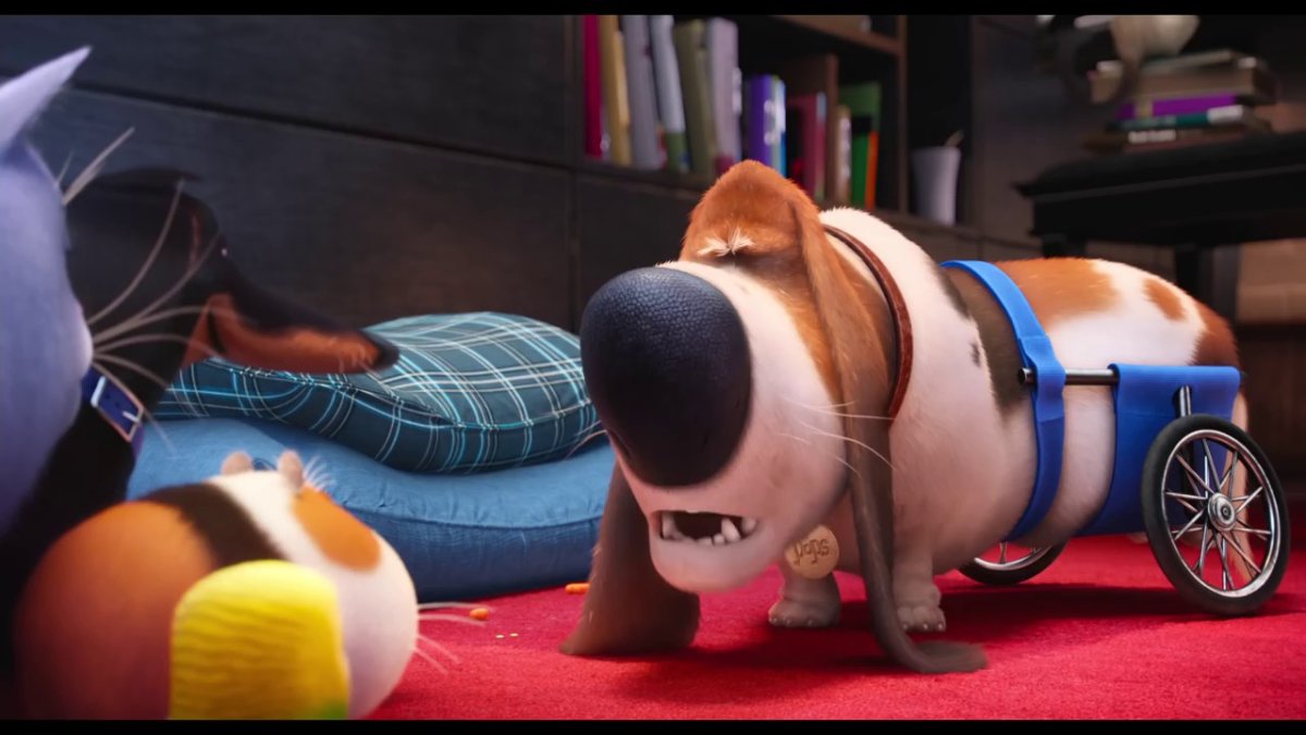 Тайная жизнь домашних животных такса