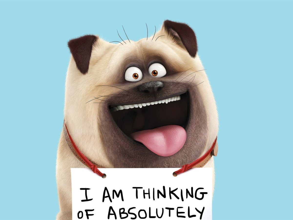 Тайная жизнь домашних животных Мэл