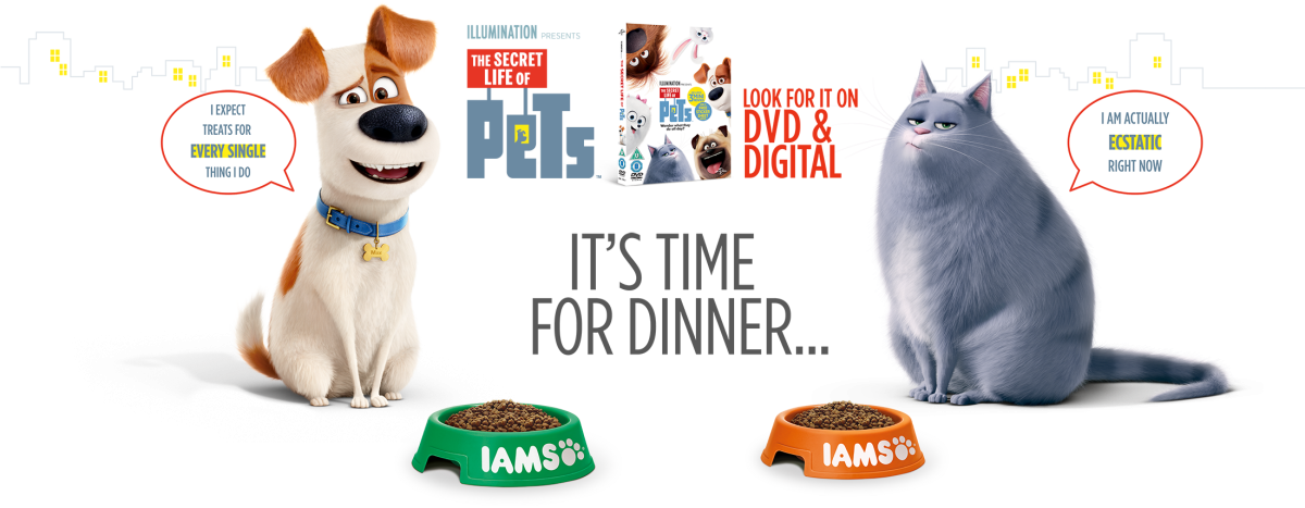 Secret Life of Pets Blind Dog