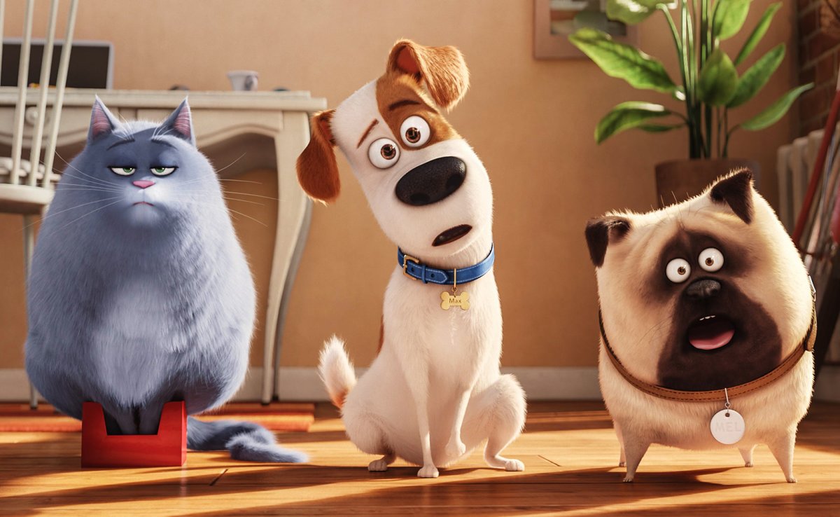 Мультфильм Тайная жизнь домашних животных