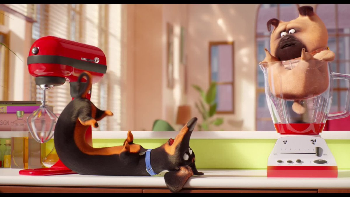 Тайная жизнь домашних животных 2 Бадди