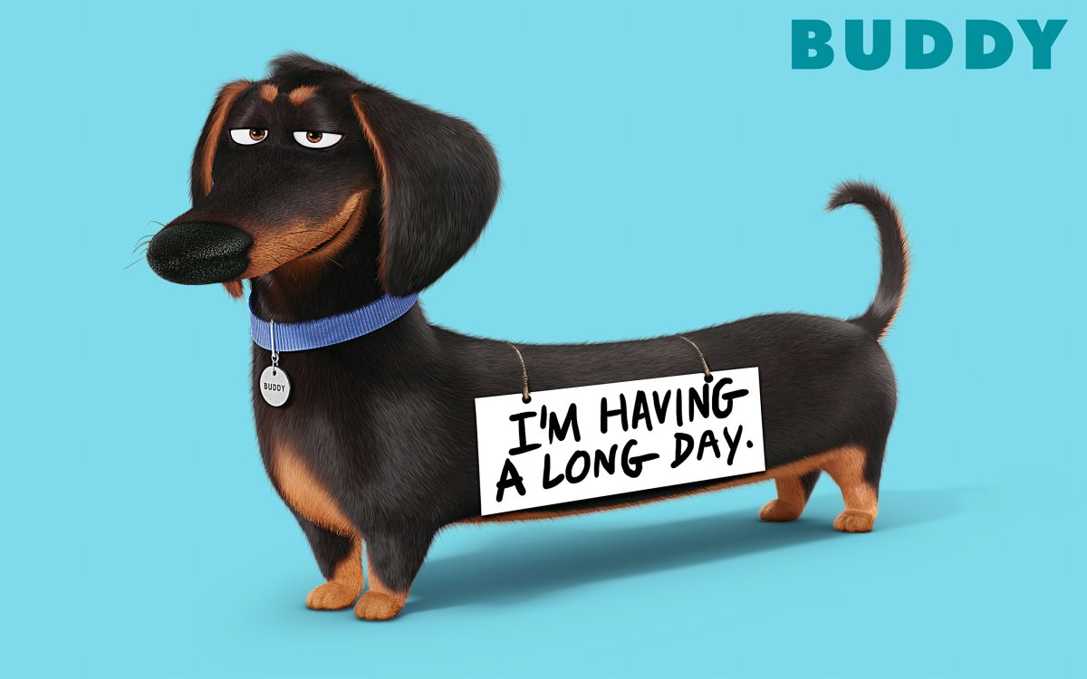 Тайная жизнь домашних животных 2 Макс