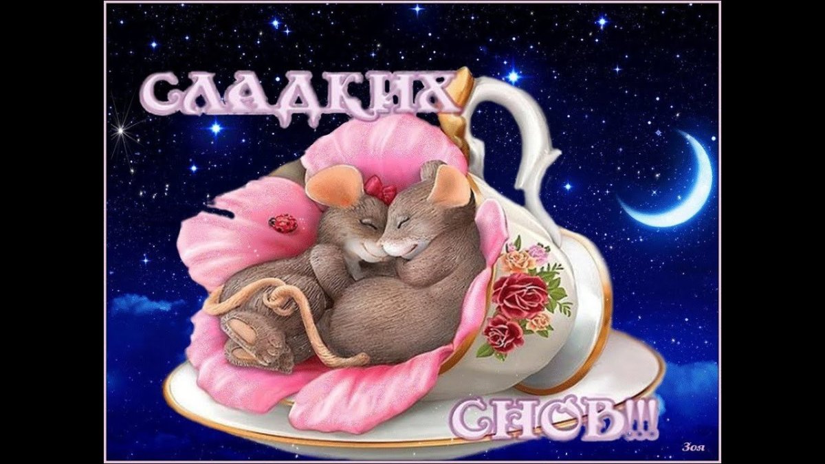 Медвежонок желает спокойной ночи