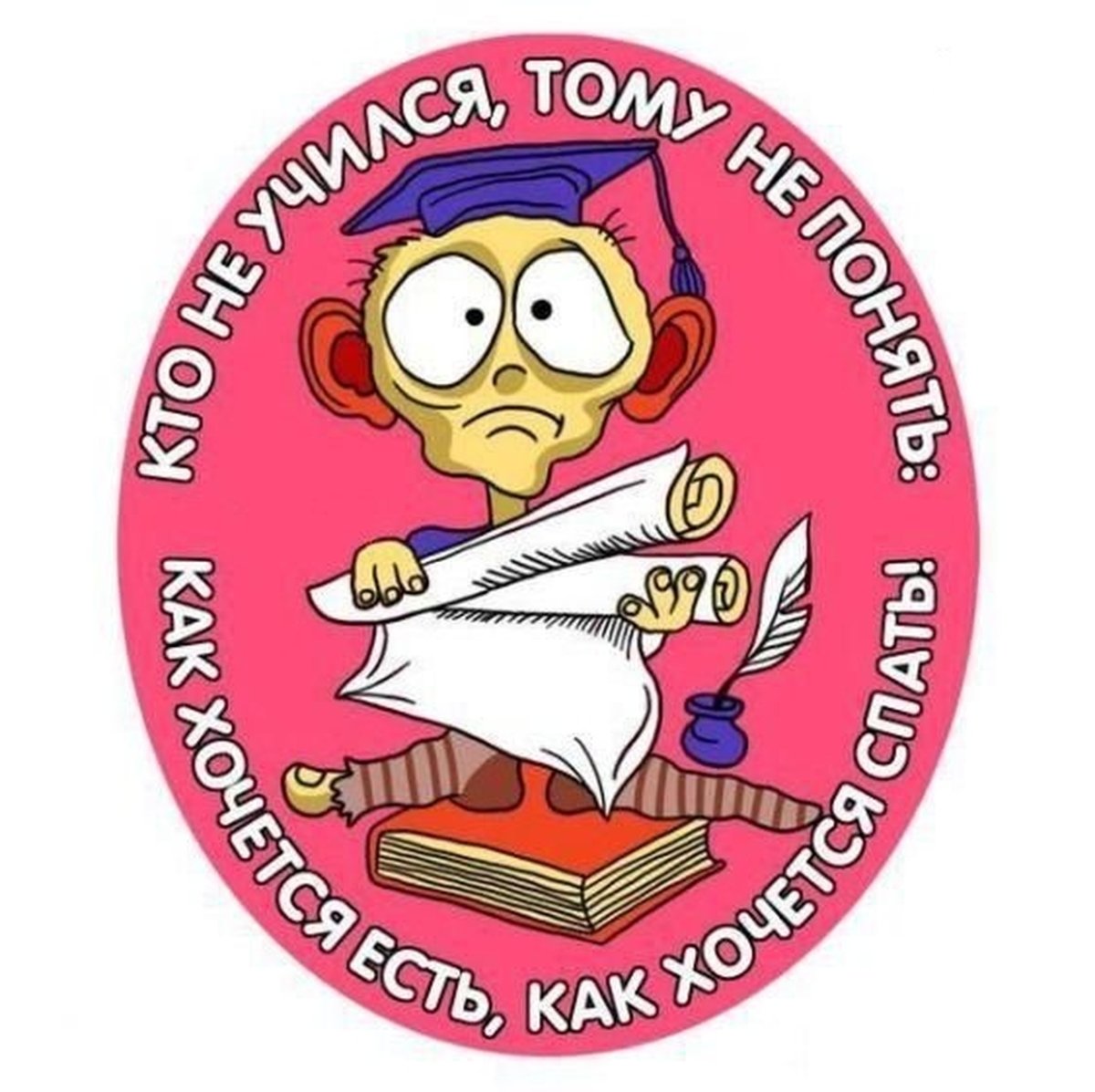 Все мы вечные студенты картинки