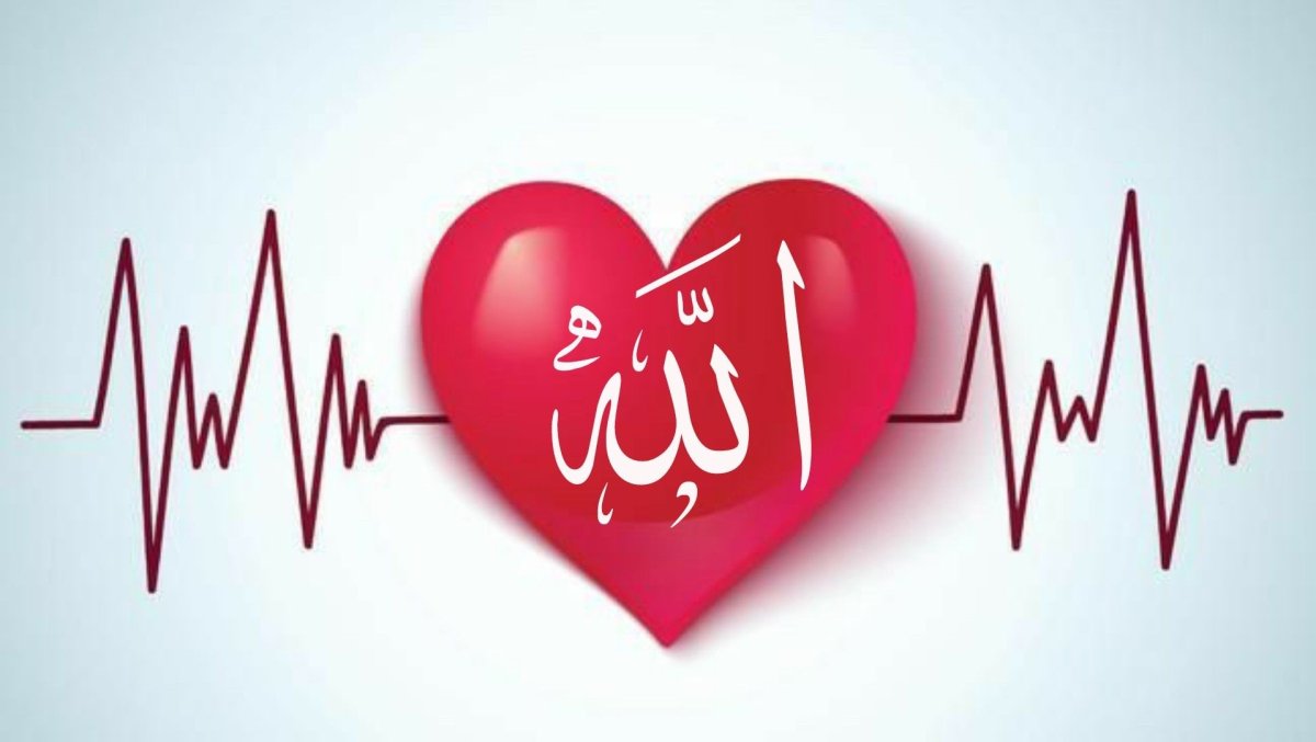 Пульс сердца