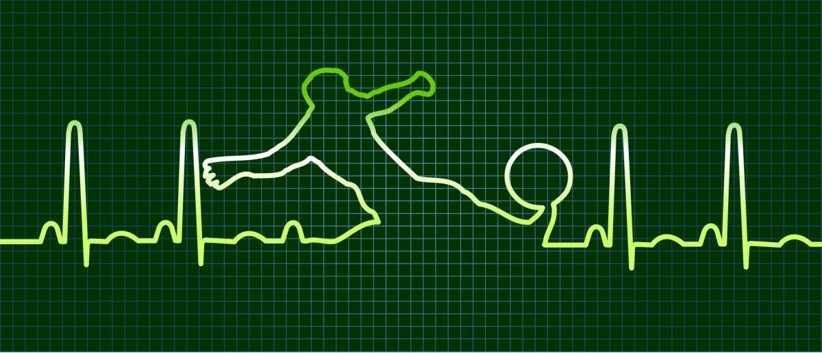 Красивая кардиограмма
