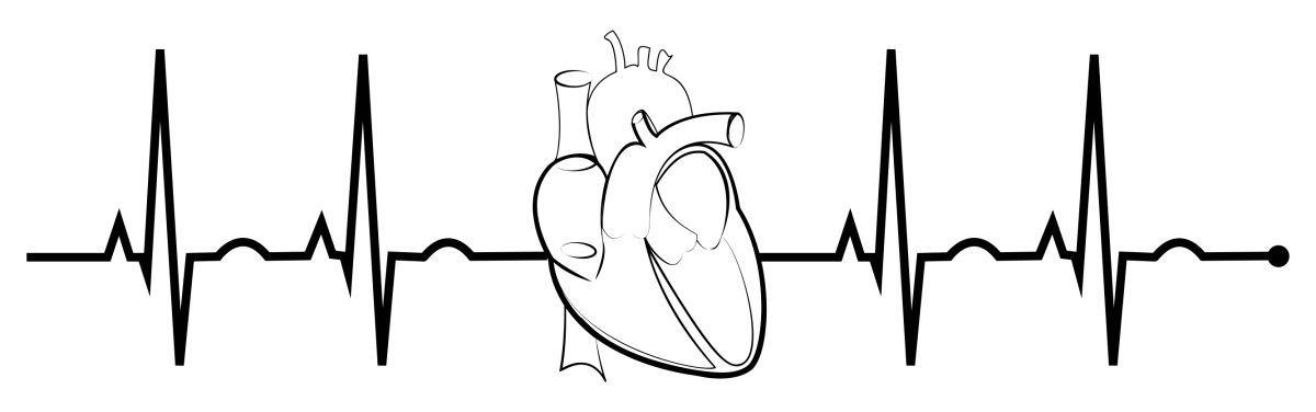 Кардиограмма рисунок