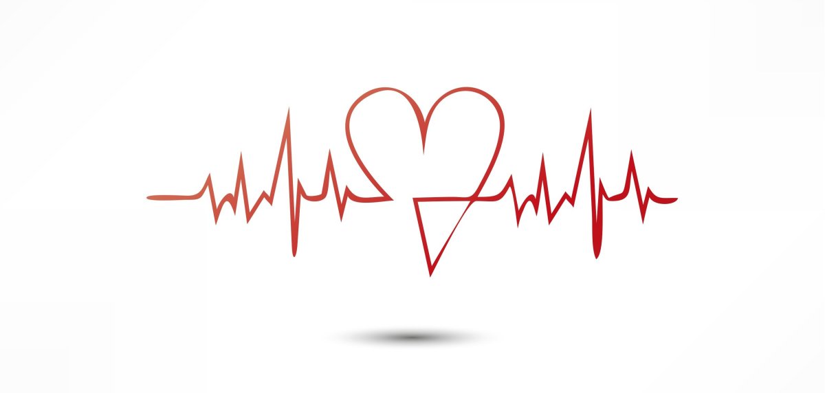 Пульс сердца кардиограмма
