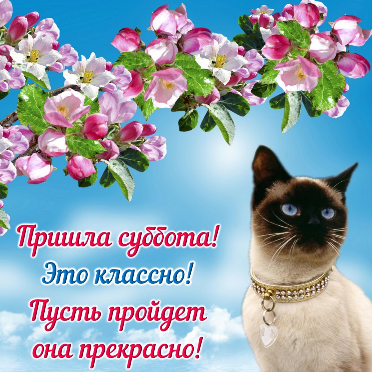 С субботним днем