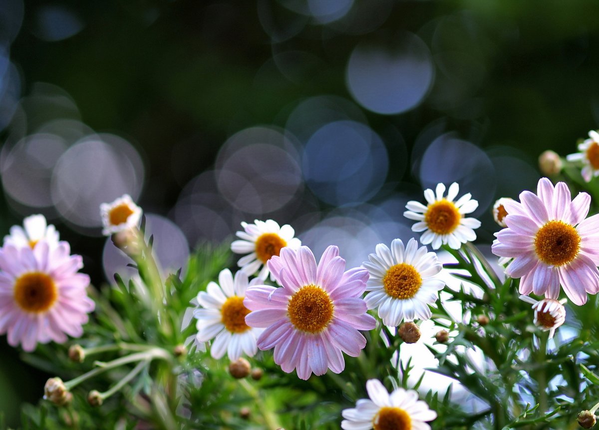 Веселых выходных