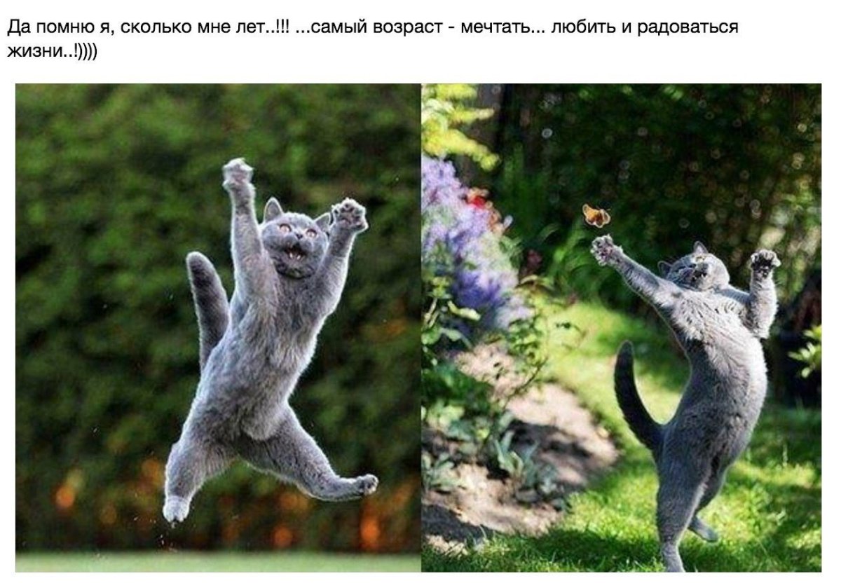 Открытки Веселые и добрые