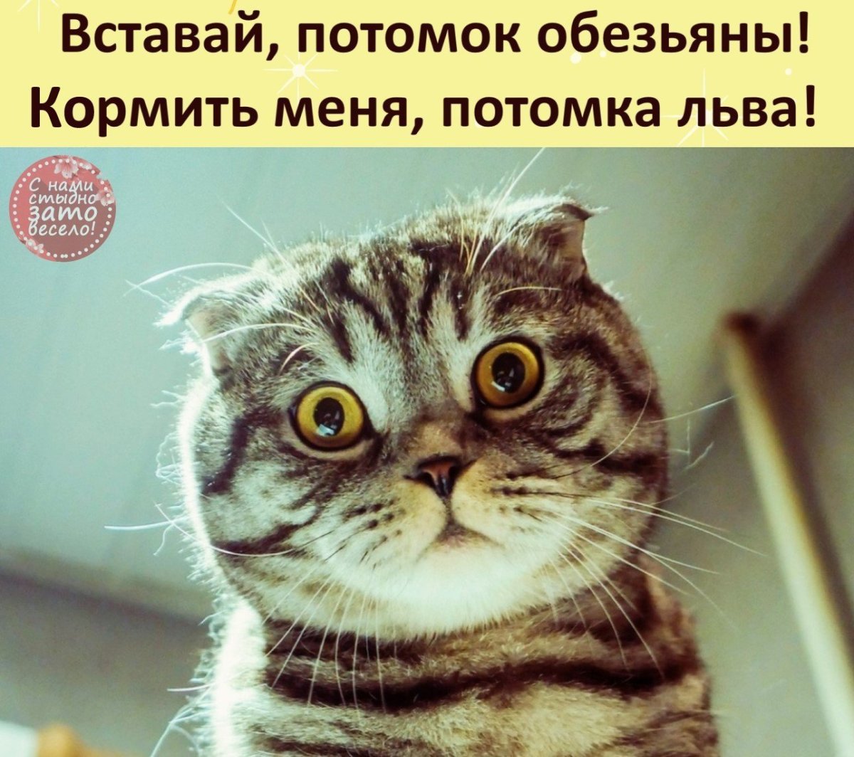 Потомок обезьяны корми меня потомка Льва